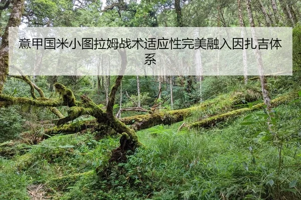 yi-jia-guo-mi-xiao-tu-la-mu-zhan-shu-shi-ying-xing-wan-mei-rong-ru-yin-zha-ji-ti-xi-2-472.jpg