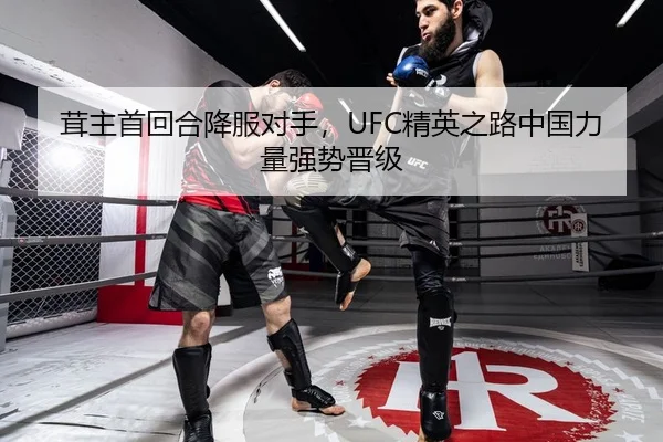 茸主首回合降服对手，UFC精英之路中国力量强势晋级