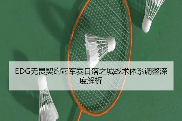 EDG无畏契约冠军赛日落之城战术体系调整深度解析