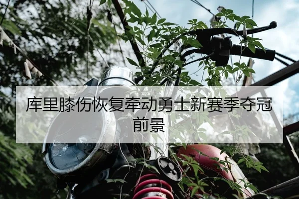 库里膝伤恢复牵动勇士新赛季夺冠前景