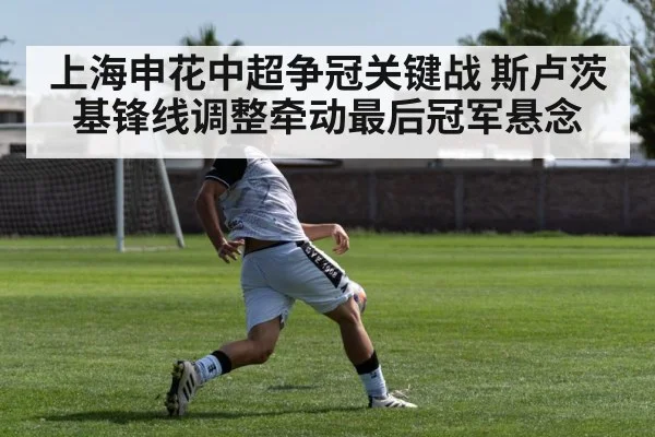 上海申花中超争冠关键战 斯卢茨基锋线调整牵动最后冠军悬念